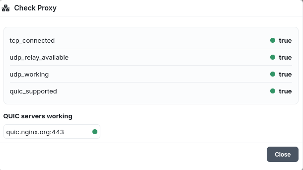 UDP check